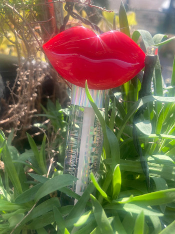 ROUGE À LÈVRES GLOSSY